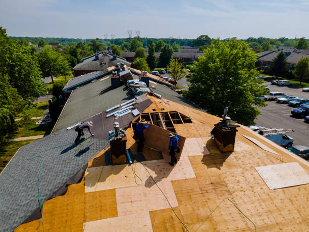 Trusted Emergency Roof Repair service in Irvine, PA - Brentwood Metal Roofing